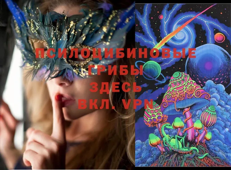 Галлюциногенные грибы Psilocybine cubensis  omg зеркало  Аткарск 